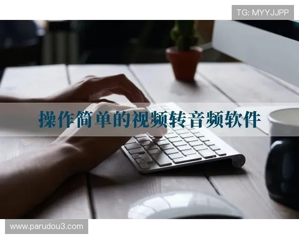 星空官方网站入口软件使用技巧，助您轻松上手