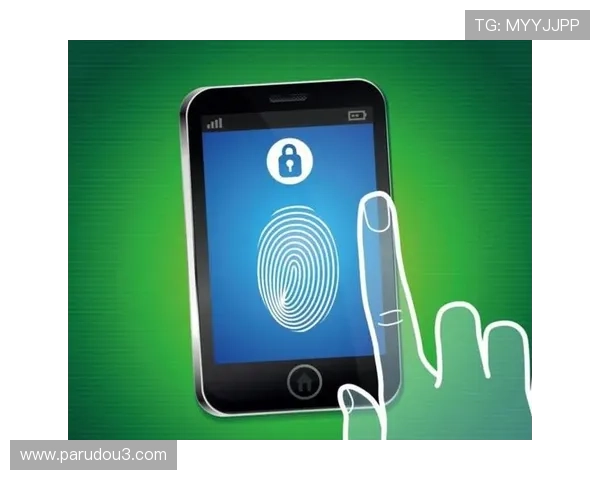 星空体育网站信誉好，安全支付与隐私保护的重要性解析